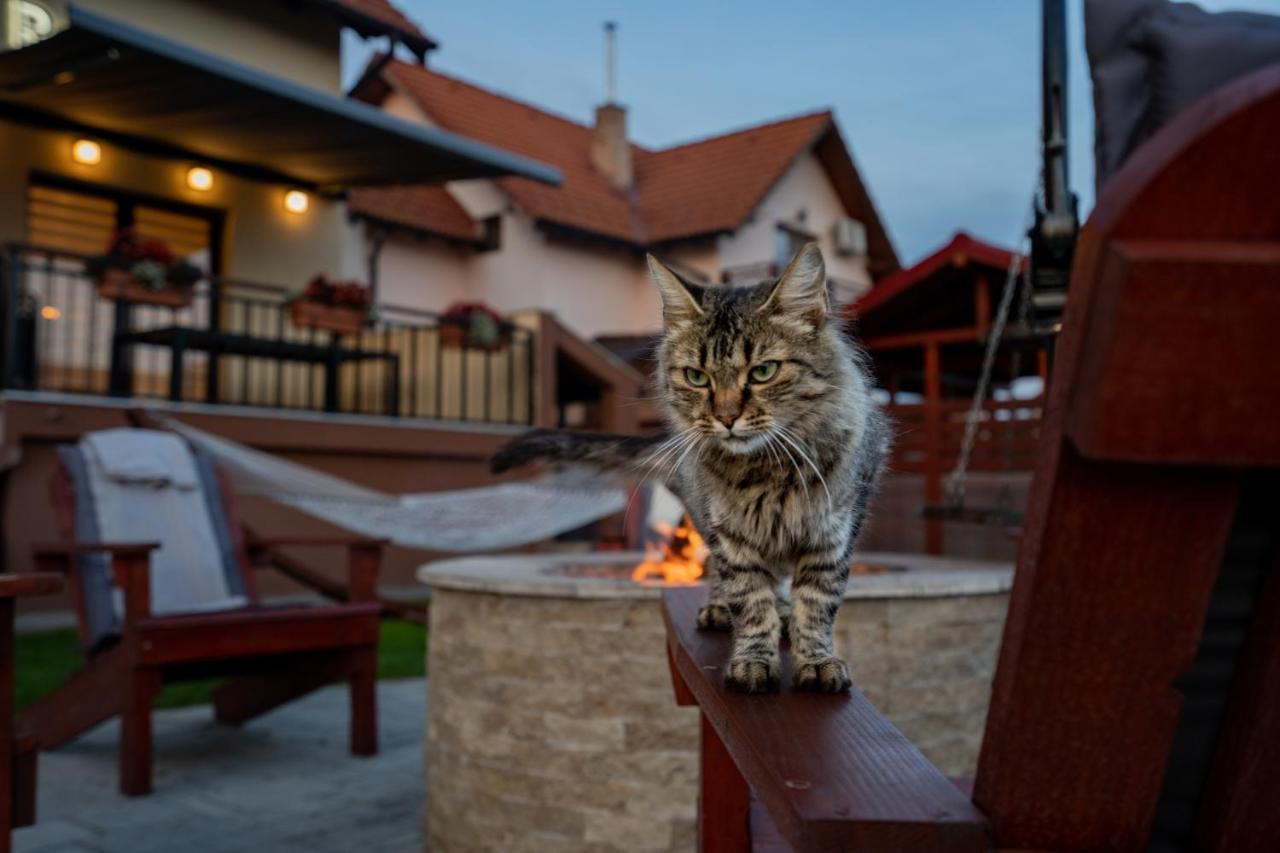 Roots Villa Redwood Braşov Eksteriør billede